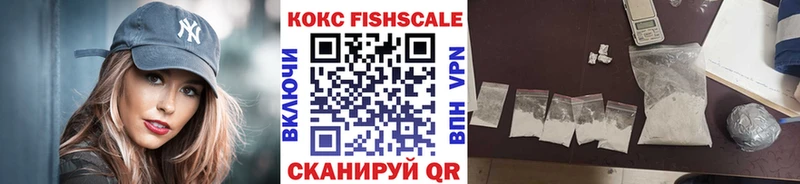 сколько стоит  Губкин  COCAIN 98% 