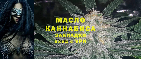 ГАЛЛЮЦИНОГЕННЫЕ ГРИБЫ Вяземский
