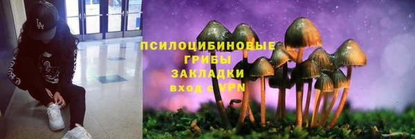 ГАЛЛЮЦИНОГЕННЫЕ ГРИБЫ Вяземский