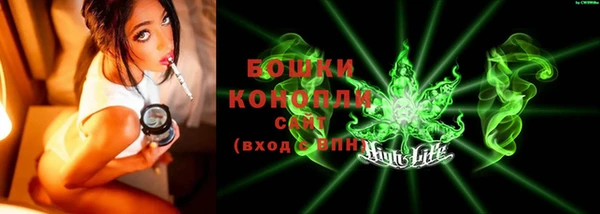 ГАЛЛЮЦИНОГЕННЫЕ ГРИБЫ Вяземский
