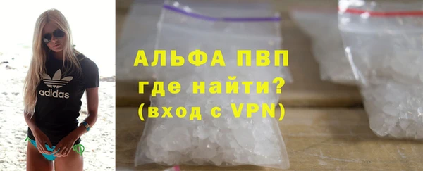 сатива Вязьма