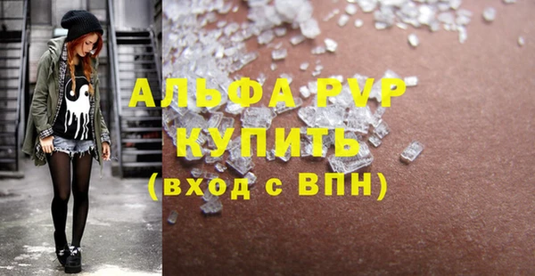 ГАЛЛЮЦИНОГЕННЫЕ ГРИБЫ Вяземский