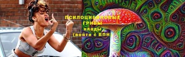 сатива Вязьма