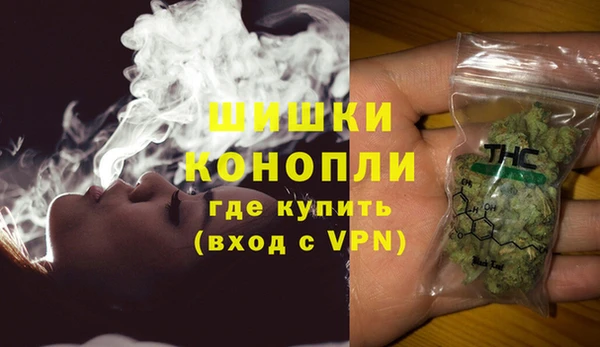 ГАЛЛЮЦИНОГЕННЫЕ ГРИБЫ Вяземский
