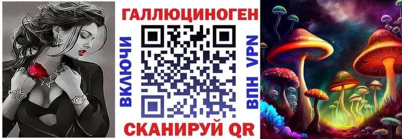 МЕГА как зайти  Губкин  Псилоцибиновые грибы Cubensis 